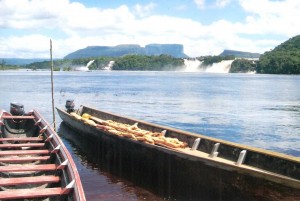 venezuela,foresta 001