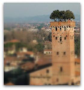 torre1