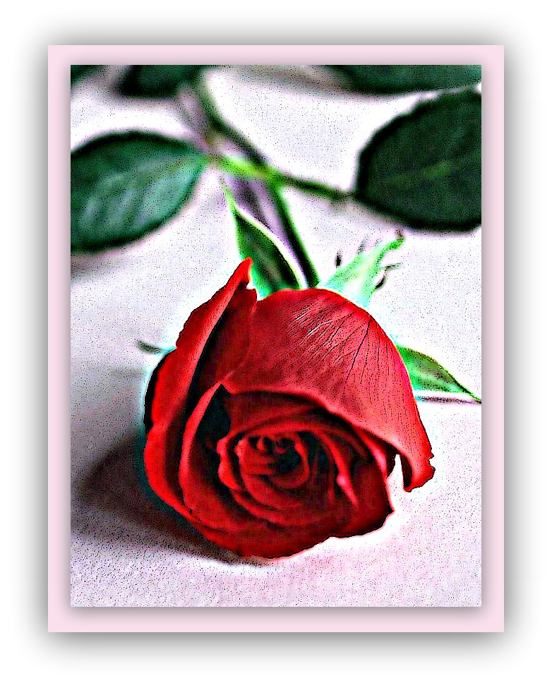 my love is like a red red rose poem