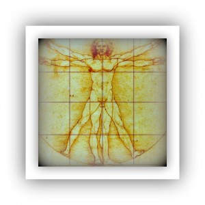 A.vitruvian1.1