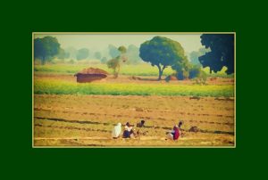 meeting-benches-agra-india-4