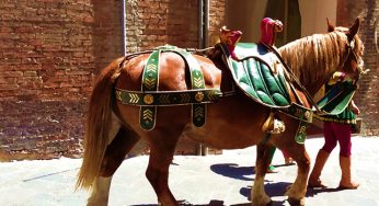 THE MARCH OF THE PALIO DI SIENA – Pietro Formichi, the author of a famous and highly played march
