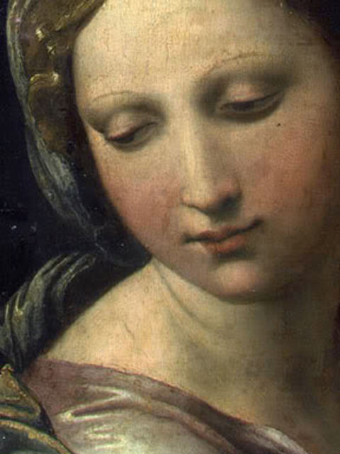 EXPRESSIONS OF THE RENAISSANCE: A LOOK THAT COMES FROM AFAR - Meeting ...