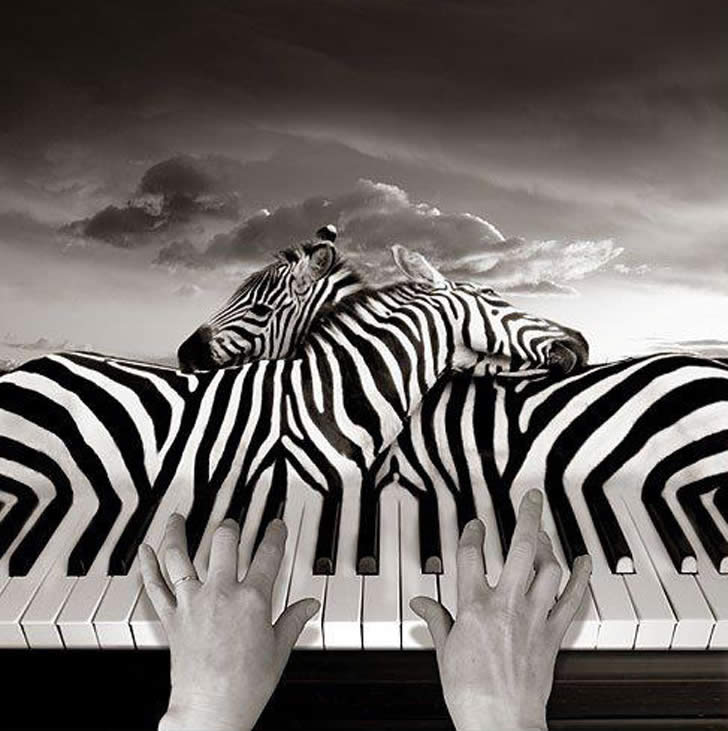 Thomas Barbey 1957 American Photographer And Photocollage Artist