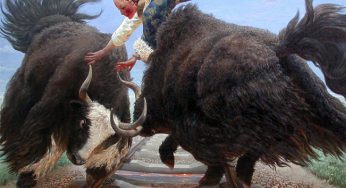 WANG YI GUANG (1962), CHINESE PAINTER– Tibet’s vigorous yaks, winding railways and cheerful girls